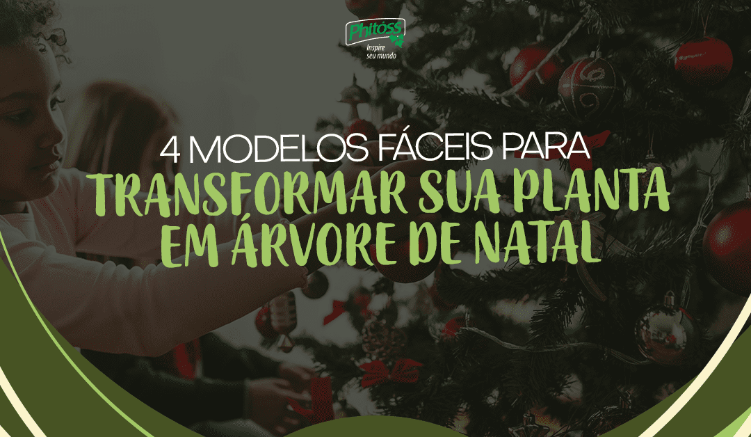 4 modelos fáceis para transformar sua planta em árvore de Natal