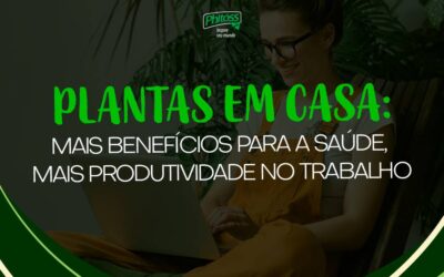 Plantas em casa: mais benefícios para a saúde, mais produtividade no trabalho