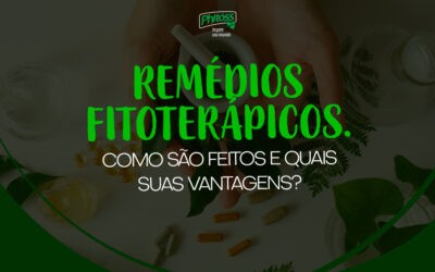 Remédios Fitoterápicos. Como são feitos e quais suas vantagens?