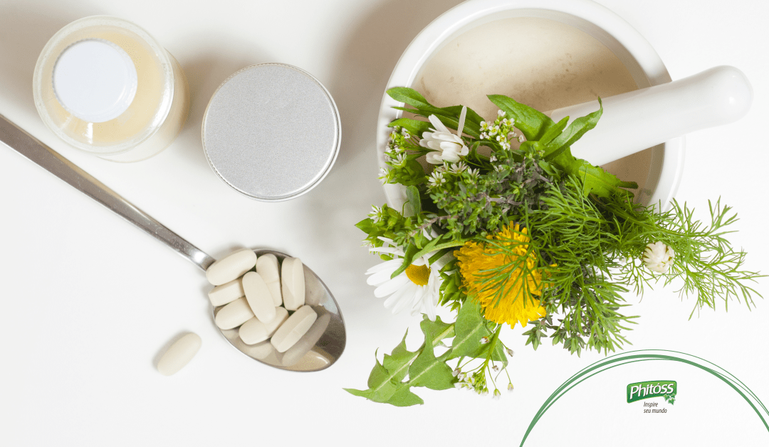 Plantas medicinais usadas para combater problemas respiratórios