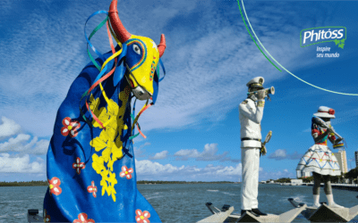 Muito além do Saci. Quais são as criaturas fantásticas dos contos do Brasil!