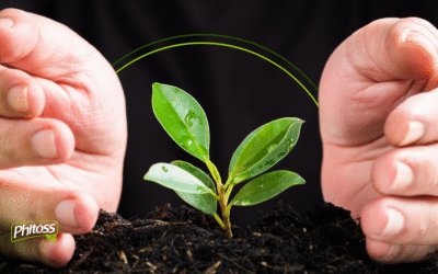 Cuidar da respiração é cuidar da vida: entenda como o ar impacta seu corpo